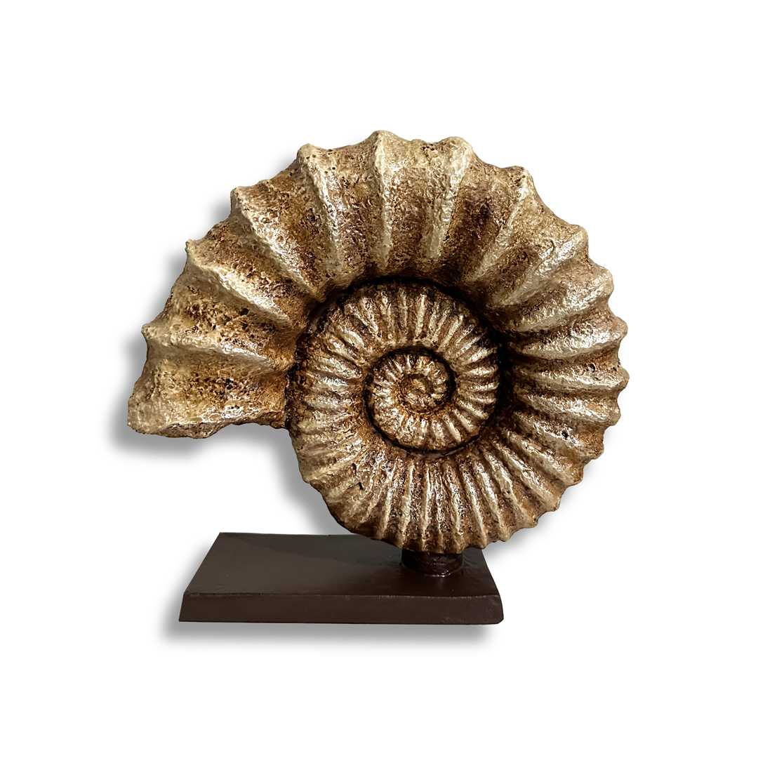 DENİZ KABUĞU BİBLO