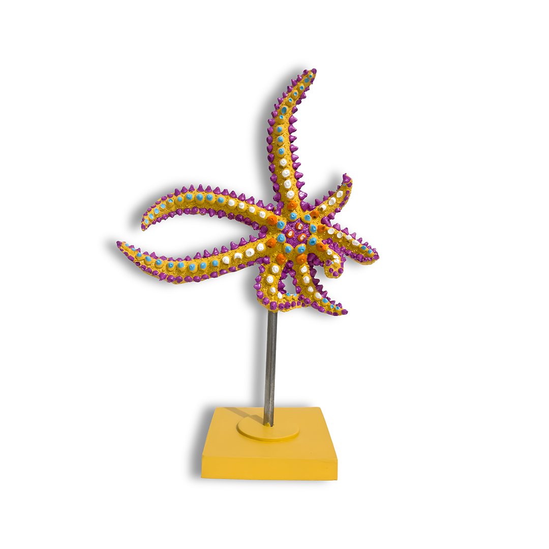 KÜÇÜK DENİZ YILDIZI  BİBLO