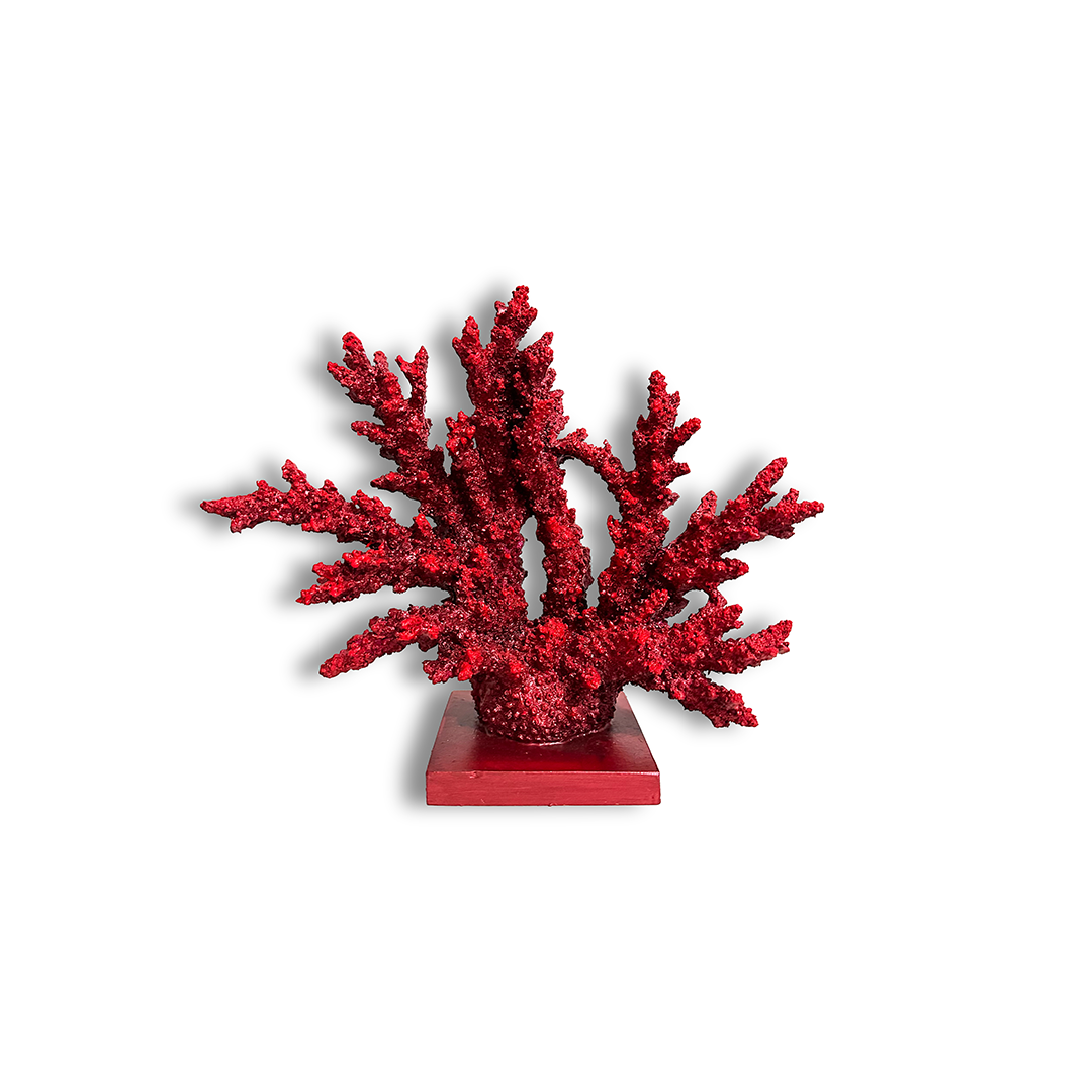 KÜÇÜK KIRMIZI MERCAN BİBLO